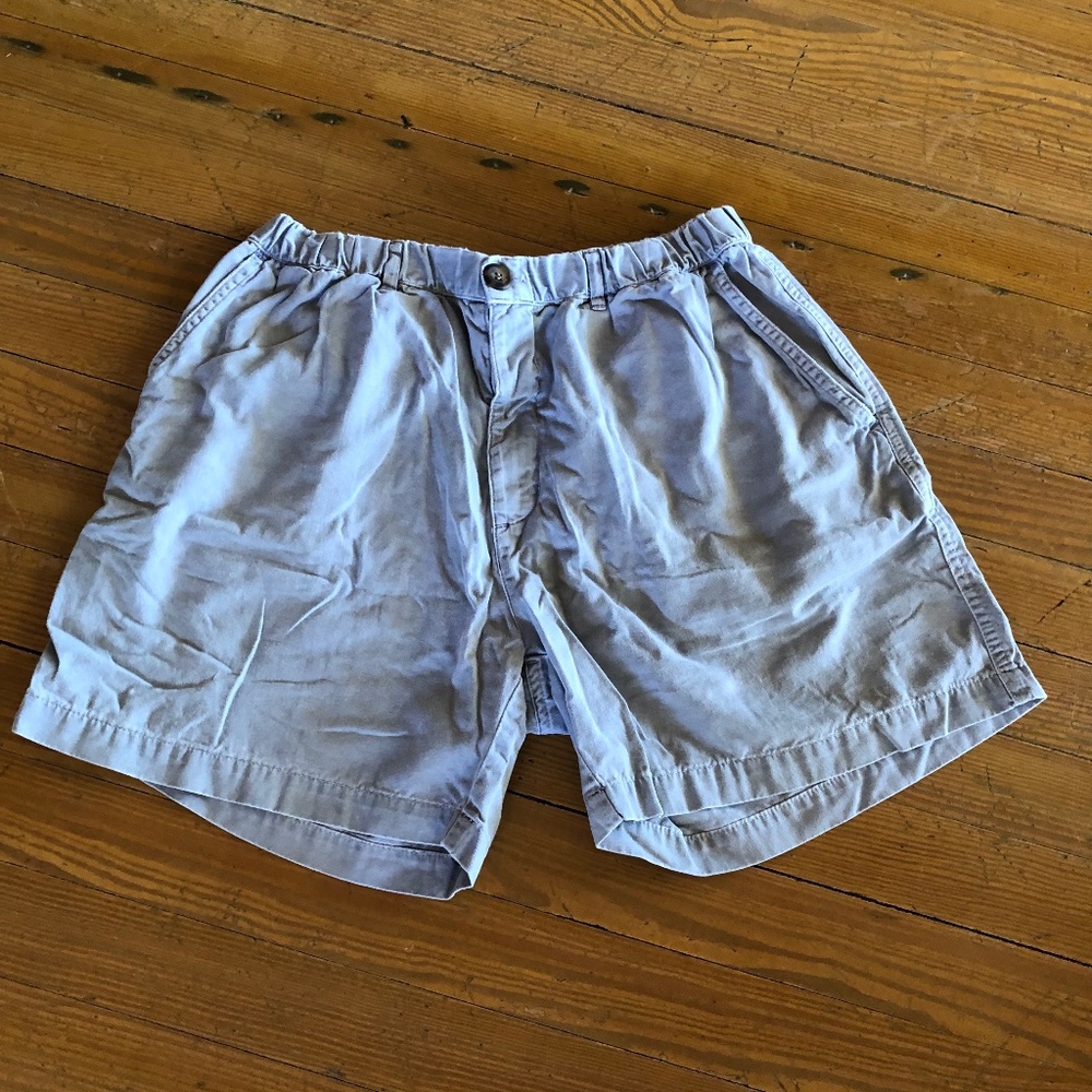 CHUBBIES Gray Shorts L
